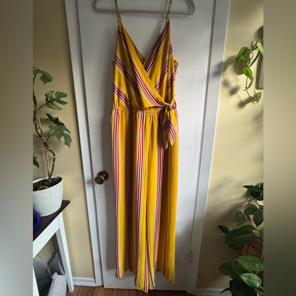 Express Striped Jumpsuit with Wide Leg Design NWT